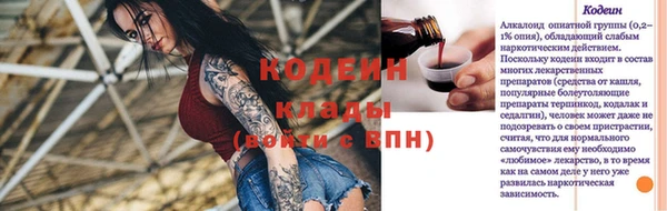 индика Новозыбков