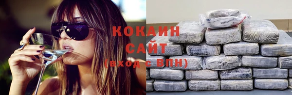 индика Новозыбков