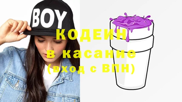 индика Новозыбков