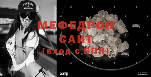 индика Новозыбков