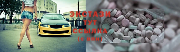 индика Новозыбков