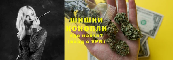индика Новозыбков
