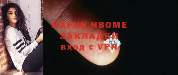 индика Новозыбков