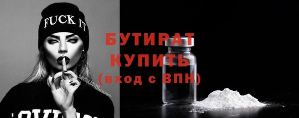 индика Новозыбков