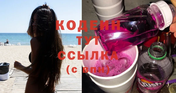 крисы Няндома