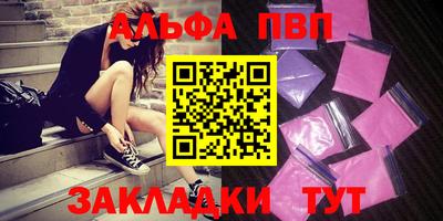 спиды Гатчина