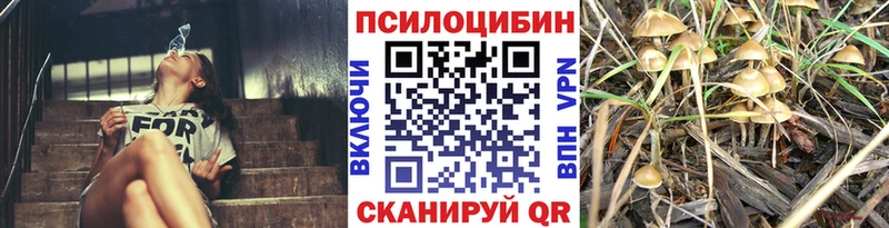 MEGA зеркало  как найти закладки  Уфа  Псилоцибиновые грибы мицелий 