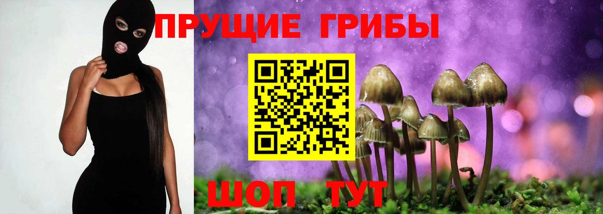 Галлюциногенные грибы ЛСД Уфа